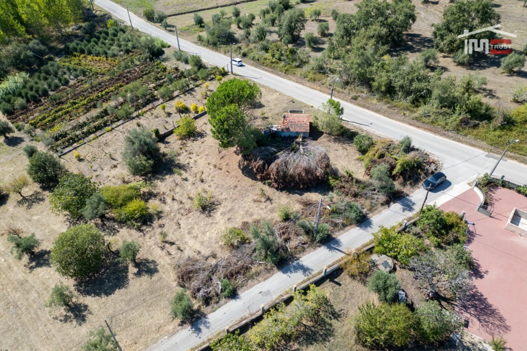 Terreno Agricola ou Rústico para Venda em Gondemaria e Olival Foto 21