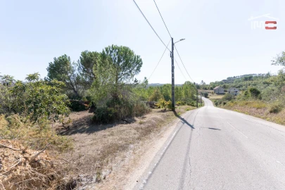 Terreno Agricola ou Rústico para Venda em Gondemaria e Olival