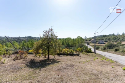 Terreno Agricola ou Rústico para Venda em Gondemaria e Olival