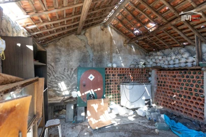Terreno Agricola ou Rústico para Venda em Gondemaria e Olival