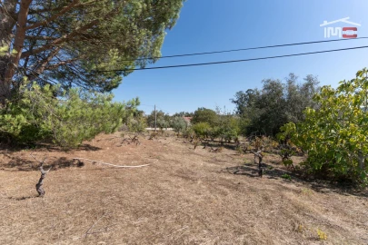 Terreno Agricola ou Rústico para Venda em Gondemaria e Olival