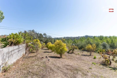 Terreno Agricola ou Rústico para Venda em Gondemaria e Olival