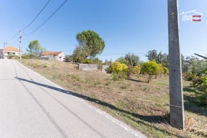 Terreno Agricola ou Rústico para Venda em Gondemaria e Olival