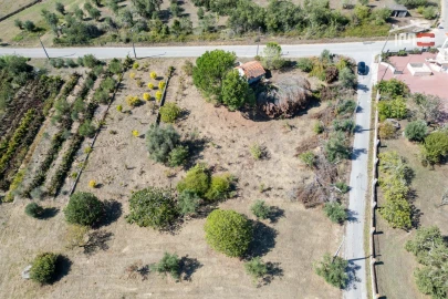 Terreno Agricola ou Rústico para Venda em Gondemaria e Olival