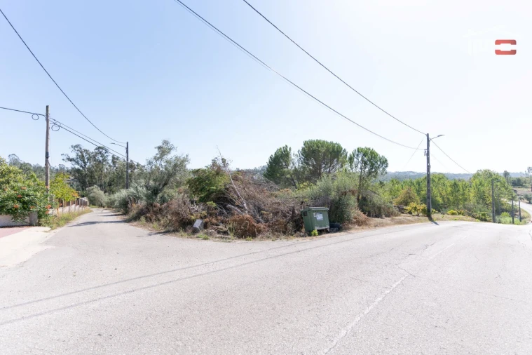Terreno Agricola ou Rústico para Venda em Gondemaria e Olival Foto 3