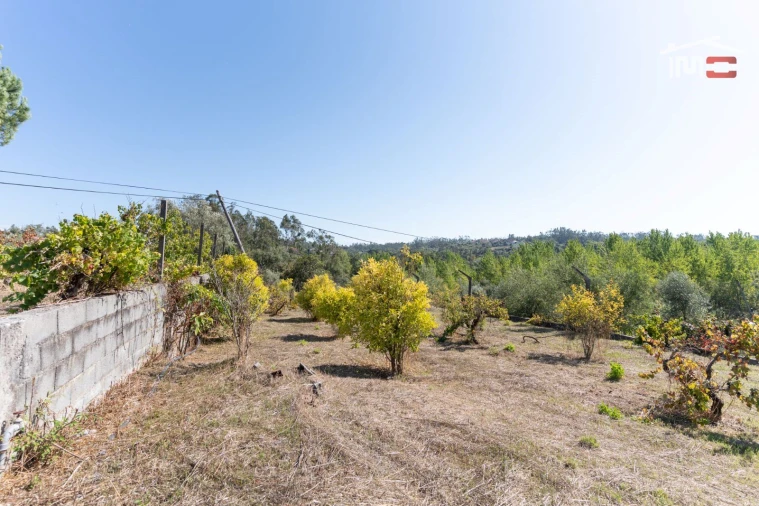 Terreno Agricola ou Rústico para Venda em Gondemaria e Olival Foto 13
