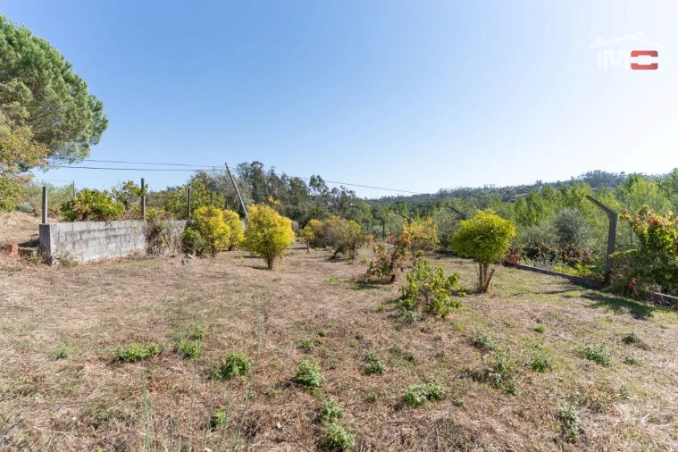 Terreno Agricola ou Rústico para Venda em Gondemaria e Olival Foto 14