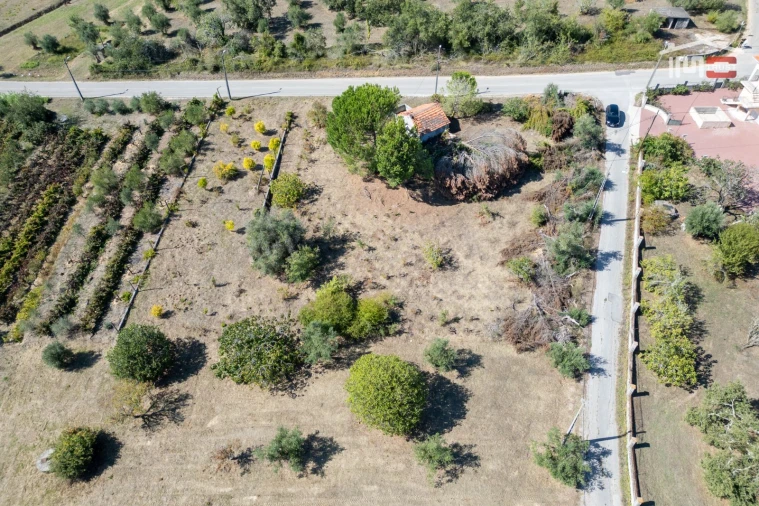 Terreno Agricola ou Rústico para Venda em Gondemaria e Olival Foto 20