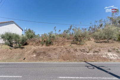 Terreno Agricola ou Rústico para Venda em Matas e Cercal