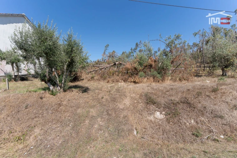 Terreno Agricola ou Rústico para Venda em Matas e Cercal Foto 4
