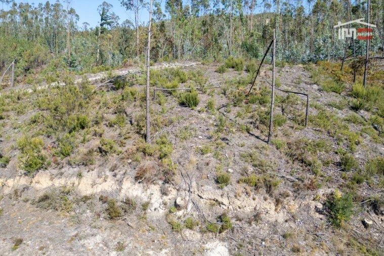 Terreno Agricola ou Rústico para Venda em Matas e Cercal Foto 10