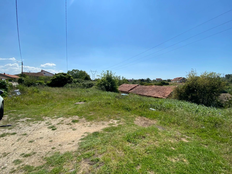 Terreno Agricola ou Rústico para Venda em Arcos e Mogofores Foto 5