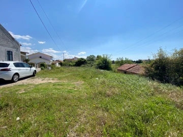 Terreno Agricola ou Rústico para Venda em Arcos e Mogofores