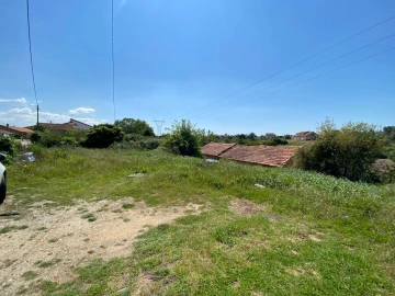 Terreno Agricola ou Rústico para Venda em Arcos e Mogofores