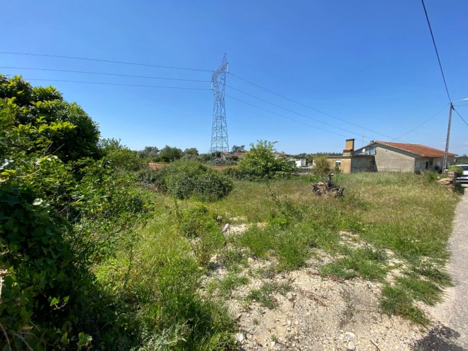 Terreno Agricola ou Rústico para Venda em Arcos e Mogofores Foto 3