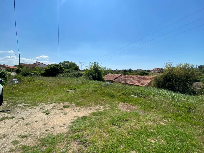Terreno Agricola ou Rústico para Venda em Arcos e Mogofores Foto 5