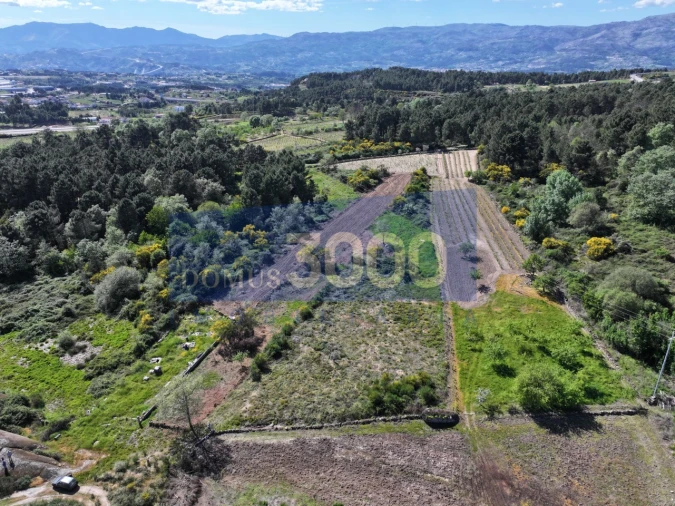 Terreno para Venda em Constantim e Vale de Nogueiras Foto 2