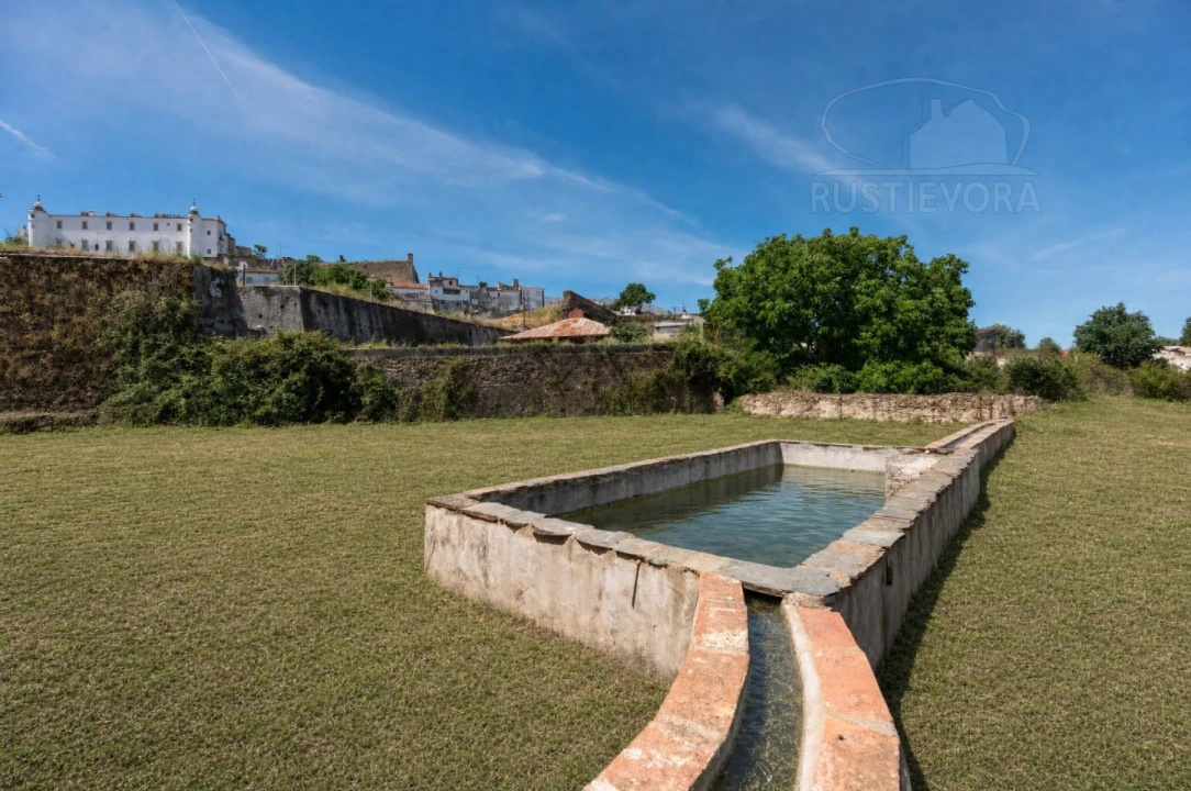 Quinta T8 para Venda em Estremoz (Santa Maria e Santo André) Foto 9