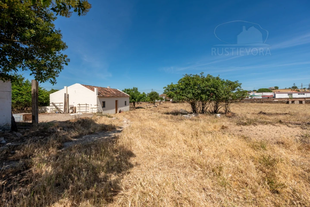 Quinta T8 para Venda em Estremoz (Santa Maria e Santo André) Foto 15