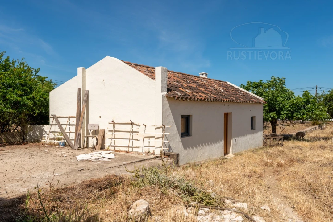 Quinta T8 para Venda em Estremoz (Santa Maria e Santo André) Foto 23