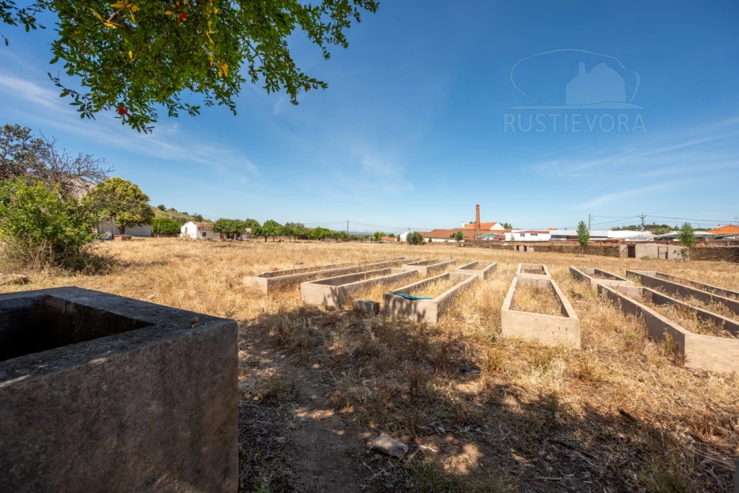 Quinta T8 para Venda em Estremoz (Santa Maria e Santo André) Foto 62