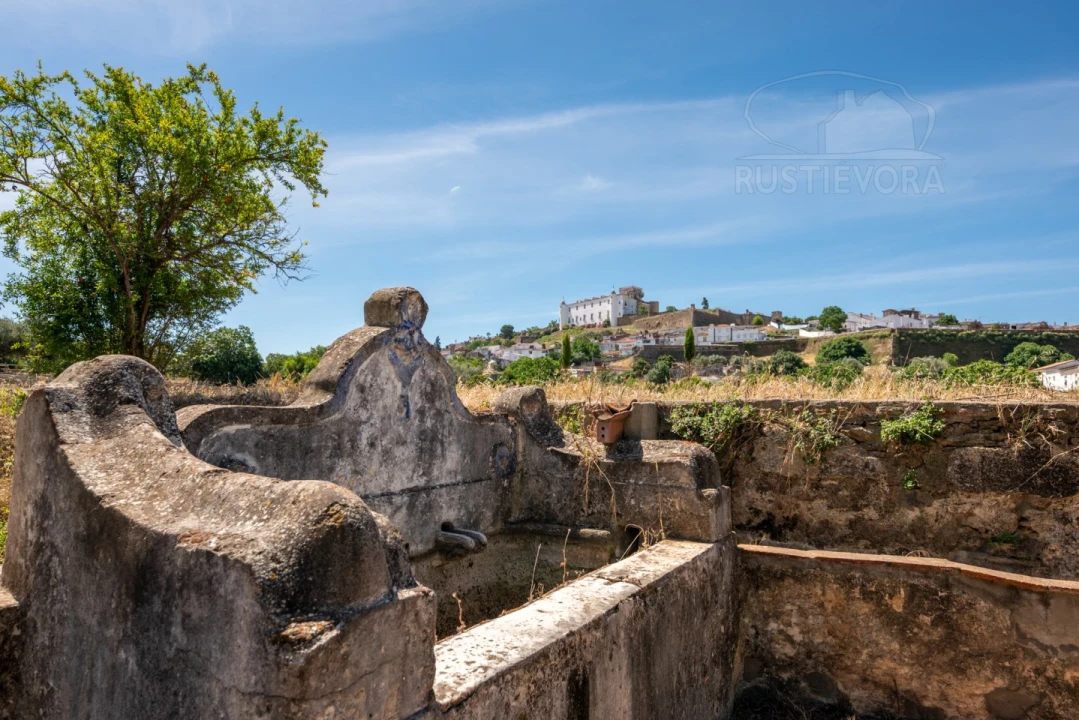 Quinta T8 para Venda em Estremoz (Santa Maria e Santo André) Foto 16