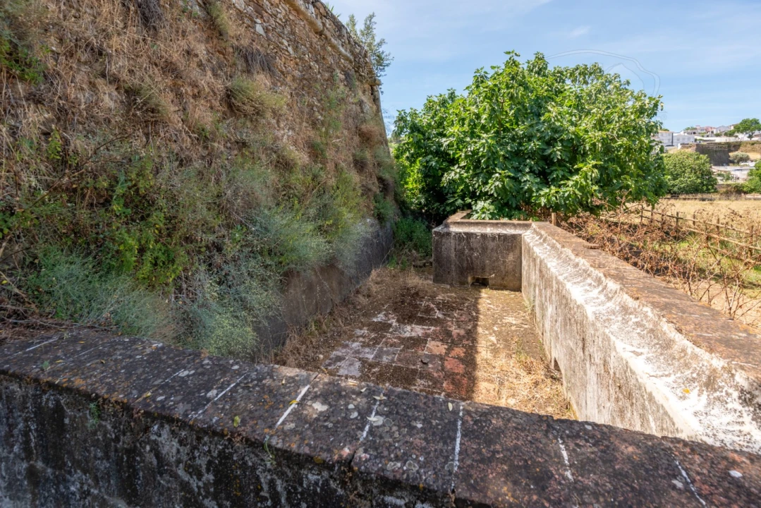 Quinta T8 para Venda em Estremoz (Santa Maria e Santo André) Foto 59