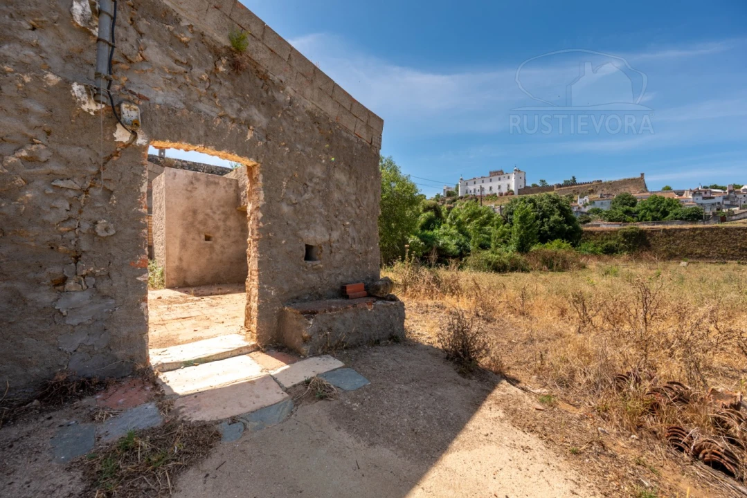 Quinta T8 para Venda em Estremoz (Santa Maria e Santo André) Foto 60
