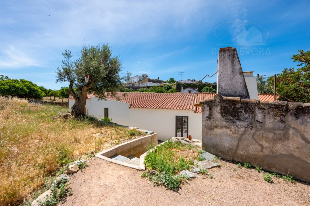 Quinta T8 para Venda em Estremoz (Santa Maria e Santo André) Foto 49