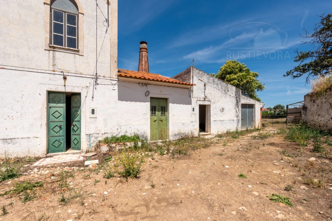 Quinta T8 para Venda em Estremoz (Santa Maria e Santo André) Foto 26