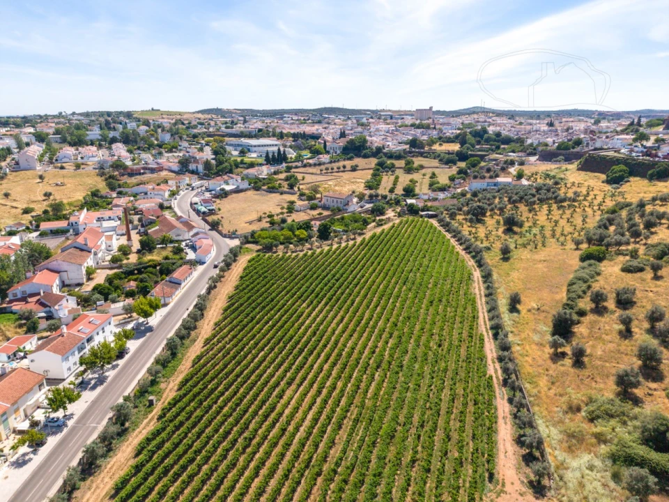 Quinta T8 para Venda em Estremoz (Santa Maria e Santo André) Foto 10
