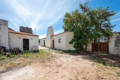 Quinta T8 para Venda em Estremoz (Santa Maria e Santo André)