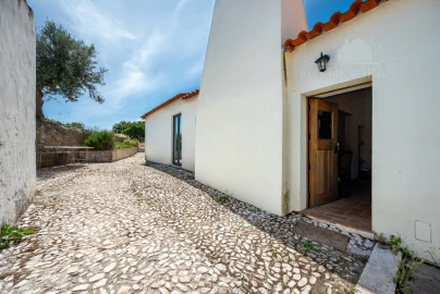 Quinta T8 para Venda em Estremoz (Santa Maria e Santo André)