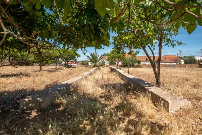 Quinta T8 para Venda em Estremoz (Santa Maria e Santo André)