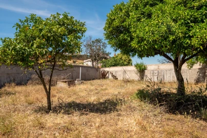 Quinta T8 para Venda em Estremoz (Santa Maria e Santo André)