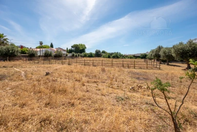 Quinta T8 para Venda em Estremoz (Santa Maria e Santo André)