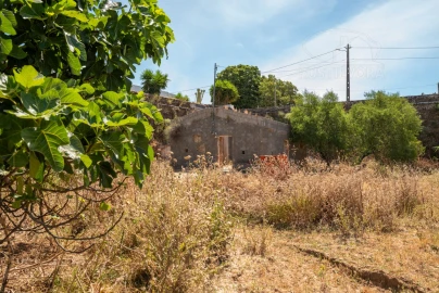 Quinta T8 para Venda em Estremoz (Santa Maria e Santo André)