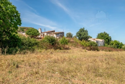 Quinta T8 para Venda em Estremoz (Santa Maria e Santo André)