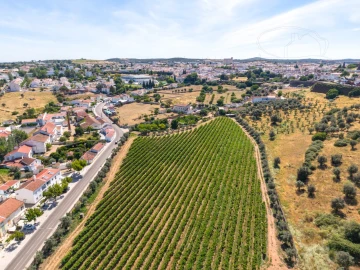 Quinta T8 para Venda em Estremoz (Santa Maria e Santo André)