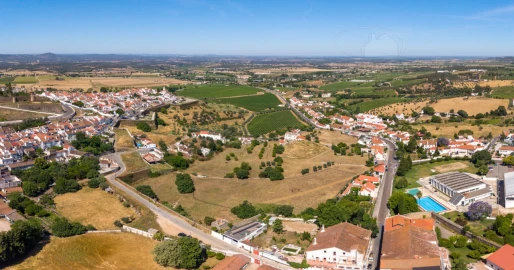 Quinta T8 para Venda em Estremoz (Santa Maria e Santo André)