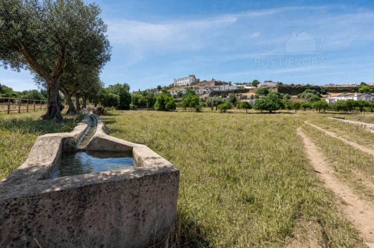 Quinta T8 para Venda em Estremoz (Santa Maria e Santo André) Foto 4