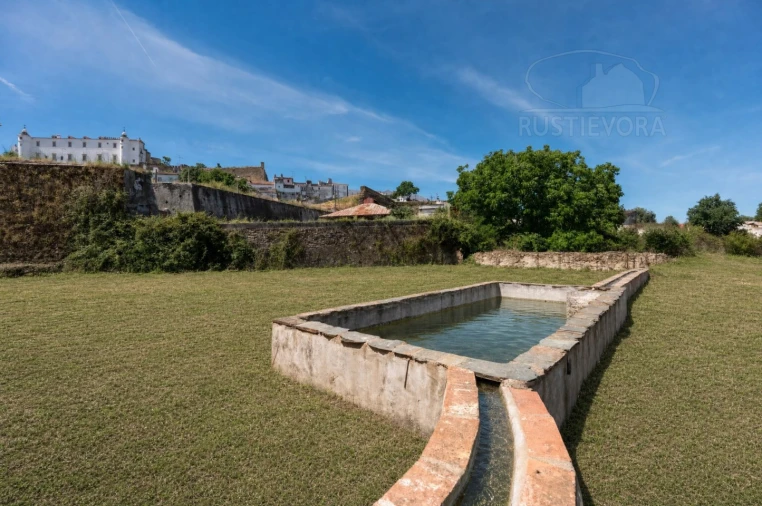Quinta T8 para Venda em Estremoz (Santa Maria e Santo André) Foto 9