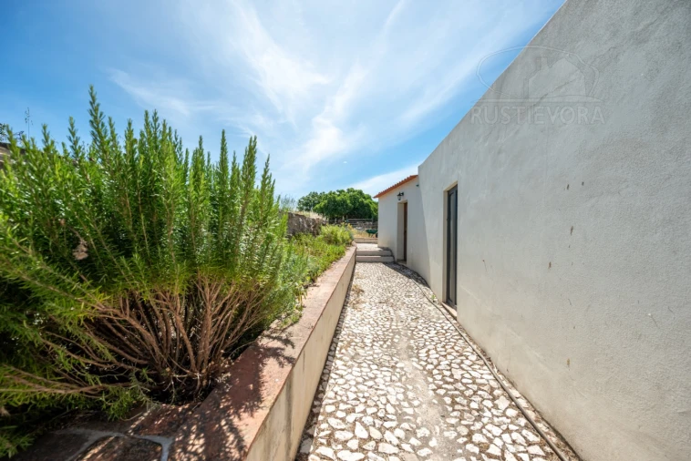 Quinta T8 para Venda em Estremoz (Santa Maria e Santo André) Foto 50