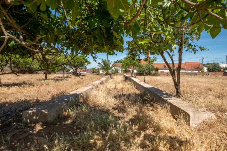 Quinta T8 para Venda em Estremoz (Santa Maria e Santo André) Foto 24