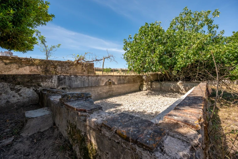 Quinta T8 para Venda em Estremoz (Santa Maria e Santo André) Foto 61