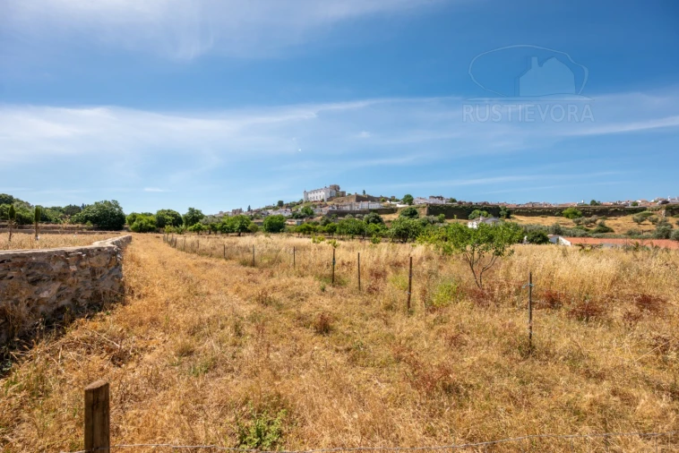 Quinta T8 para Venda em Estremoz (Santa Maria e Santo André) Foto 54