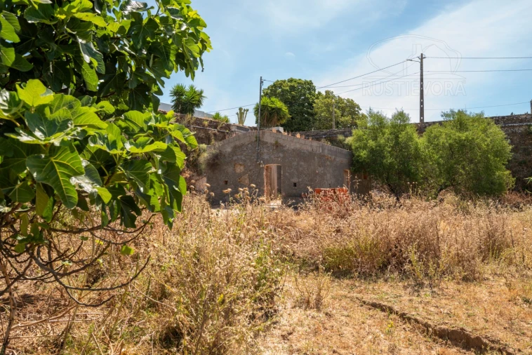 Quinta T8 para Venda em Estremoz (Santa Maria e Santo André) Foto 55