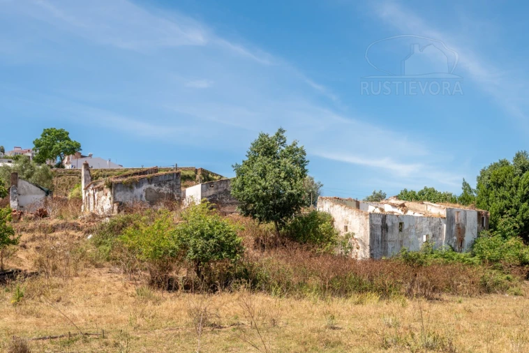 Quinta T8 para Venda em Estremoz (Santa Maria e Santo André) Foto 57