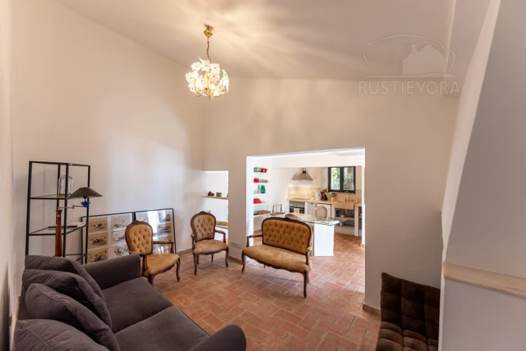 Quinta T8 para Venda em Estremoz (Santa Maria e Santo André) Foto 7