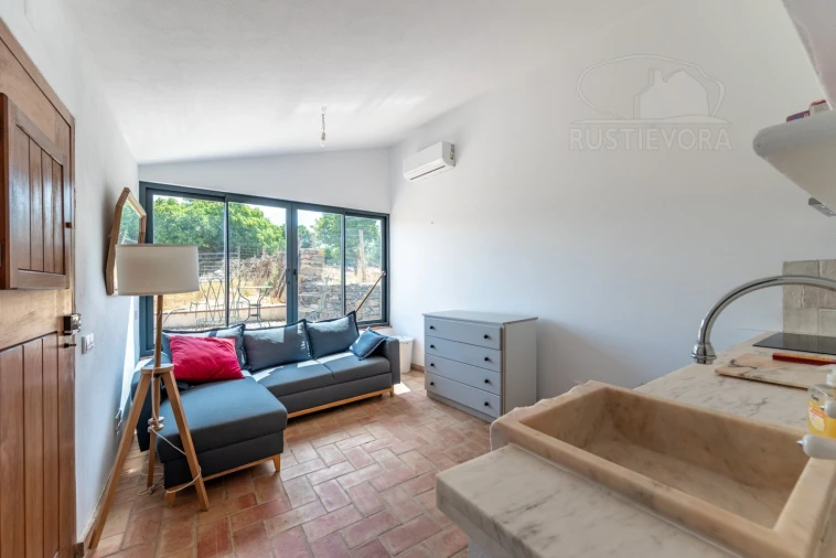Quinta T8 para Venda em Estremoz (Santa Maria e Santo André) Foto 45